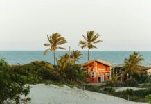 Que Es CBD: Discover The Powerful Benefits And Uses Explained