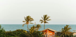 Que Es CBD: Discover The Powerful Benefits And Uses Explained