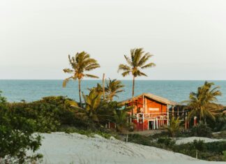 Que Es CBD: Discover The Powerful Benefits And Uses Explained