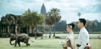 CBD Near Me: Discover The Best Local Shops For Quality Products