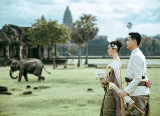 CBD Flower Near Me: Discover The Best High-Quality Options Today