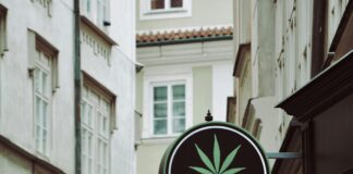 The Cbd Store: Unlock Amazing Benefits You Need To Discover