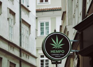 The Cbd Store: Unlock Amazing Benefits You Need To Discover