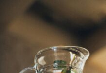 Best CBD Drinks To Boost Wellness: Discover The Ultimate Refreshment