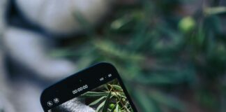 Herb Woodruff Nvidia Secrets: Unlock Powerful Tech and Nature Insights