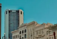 CBD New Orleans: Discover The Ultimate Guide To Wellness Benefits