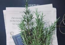 Herb Scissors: Discover The Ultimate Tool For Effortless Cooking