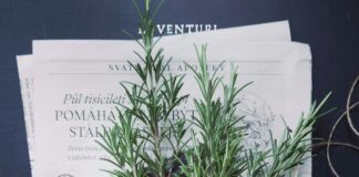 Herb Scissors: Discover The Ultimate Tool For Effortless Cooking