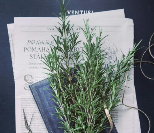 Herb Scissors: Discover The Ultimate Tool For Effortless Cooking