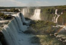 Harrelson’s Own CBD: Discover The Natural Power Behind It