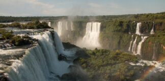 Harrelson’s Own CBD: Discover The Natural Power Behind It