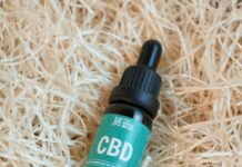 Bio Heal CBD Gummies: Discover Powerful Benefits for Wellness