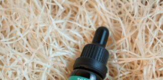 Bio Heal CBD Gummies: Discover Powerful Benefits for Wellness Home