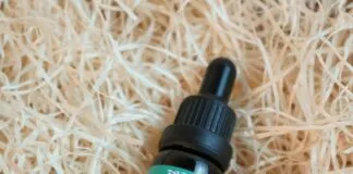 Bio Heal CBD Gummies: Discover Powerful Benefits for Wellness Home