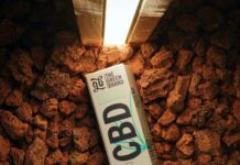 CBD Melatonin Gummies: Unlock Natural Sleep Benefits Tonight