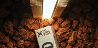 CBD Melatonin Gummies: Unlock Natural Sleep Benefits Tonight