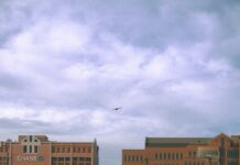 CBD Provisions Restaurant Dallas: Why Food Lovers Can’t Miss It