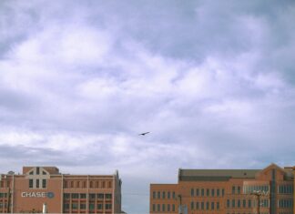 CBD Provisions Restaurant Dallas: Why Food Lovers Can’t Miss It