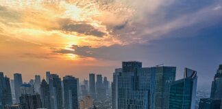 Harrelson’s Own CBD Reviews: Honest Insights You Need Today