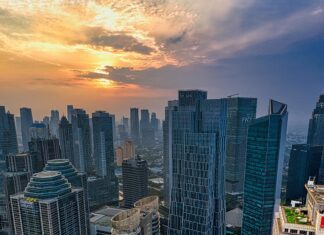 Harrelson’s Own CBD Reviews: Honest Insights You Need Today