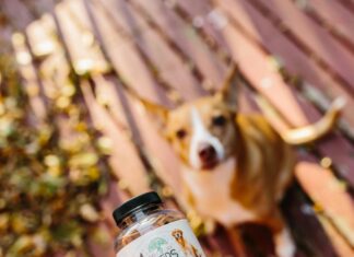 Vlasic CBD Dog Chews: Discover The Ultimate Natural Relief For Pets