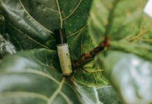 CBD Duct Dilatation Explained: Causes, Symptoms, and Treatments