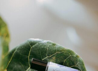 CBD Pens: Discover The Ultimate Guide To Enhance Your Wellness