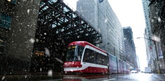 Toronto CBD Map: Discover Hidden Gems and Must-Visit Spots Today