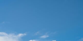 Weather CBD Sydney: Discover How Climate Impacts Your Day Today