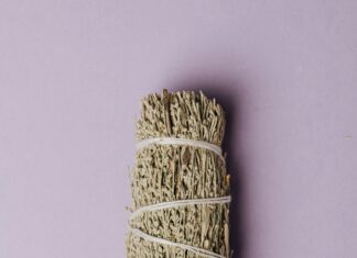 Herbs For Protection: Discover Powerful Natural Remedies That Work