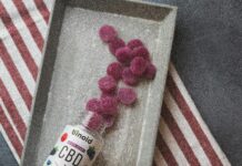 Life Boost CBD Gummies: Unlock Natural Wellness and Vitality