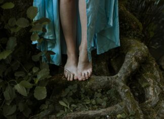 Secret Nature CBD: Unlock Hidden Benefits for Wellness and Calm