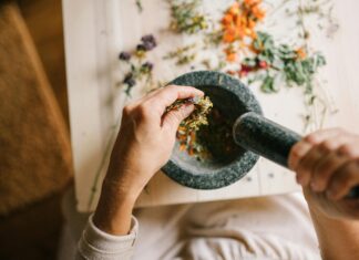 Stub And Herbs: Unlock Powerful Natural Remedies For Wellness