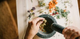 Using Herbs As A Bandage: Natural Healing Secrets You Must Know Home