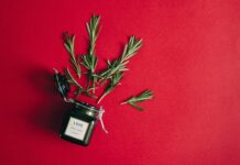 Herb Co Secrets: How This Natural Brand Transforms Wellness