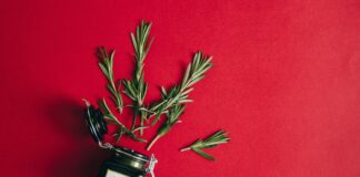 Herb Co Secrets: How This Natural Brand Transforms Wellness