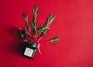 Herb Co Secrets: How This Natural Brand Transforms Wellness