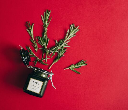 Herb Co Secrets: How This Natural Brand Transforms Wellness