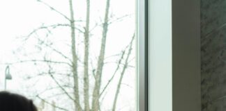 Herbe Sainte: Discover The Powerful Benefits Of This Sacred Herb