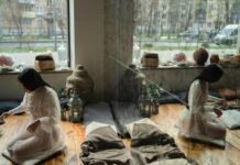 Herbs And Plants Secrets: Unlock Nature’s Power For Wellness