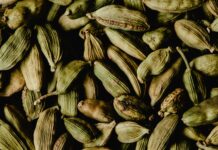 Fresh To Dry Herb Conversion: Ultimate Guide To Perfect Results