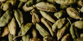 Fresh To Dry Herb Conversion: Ultimate Guide To Perfect Results