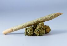 Mary Jane CBD: Discover Powerful Benefits and Surprising Uses