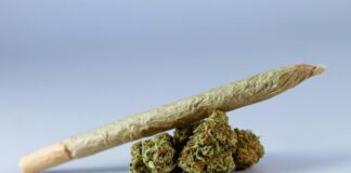 Mary Jane CBD: Discover Powerful Benefits and Surprising Uses