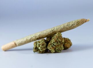 Mary Jane CBD: Discover Powerful Benefits and Surprising Uses