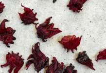 Verb Is The Herb: Discover Powerful Benefits And Uses Today