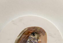 Sage Herb Benefits: Unlock Powerful Healing Secrets Naturally