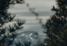 Smoky Mountain CBD: Discover The Ultimate Natural Wellness Solution