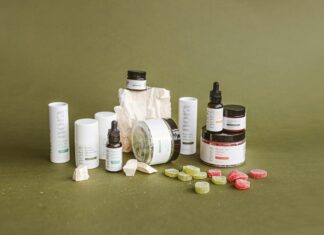 CBD Gummies For Dogs: Discover Powerful Benefits Your Pet Needs