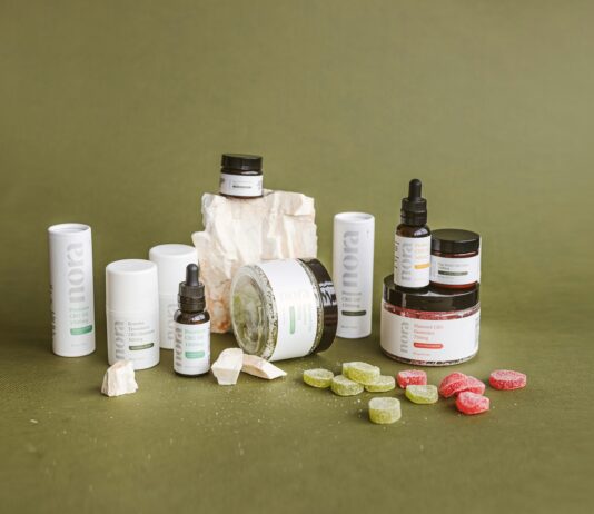 CBD Gummies For Dogs: Discover Powerful Benefits Your Pet Needs
